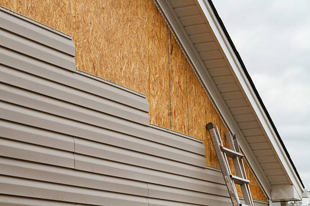 Professional Siding Inspection technician working in Avon, CO